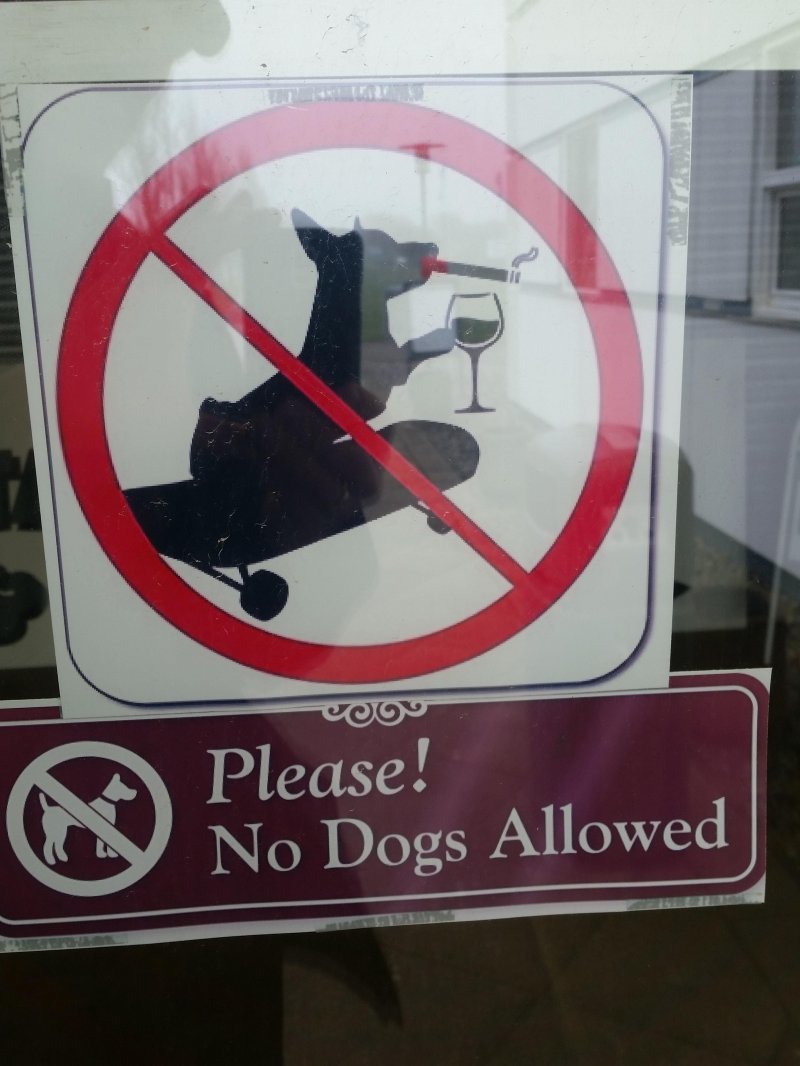 Курящим и пьющим собакам на скейте вход воспрещен