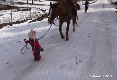 В студеную зимнюю пору лошадка. Однажды в Студёную зимнюю лошадка. Лошадка в студеную зимнюю. Однажды в студеную зимнюю пору лошадка прилипла.