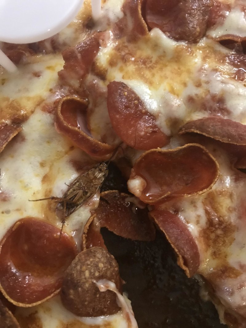 Пицца с тараканом