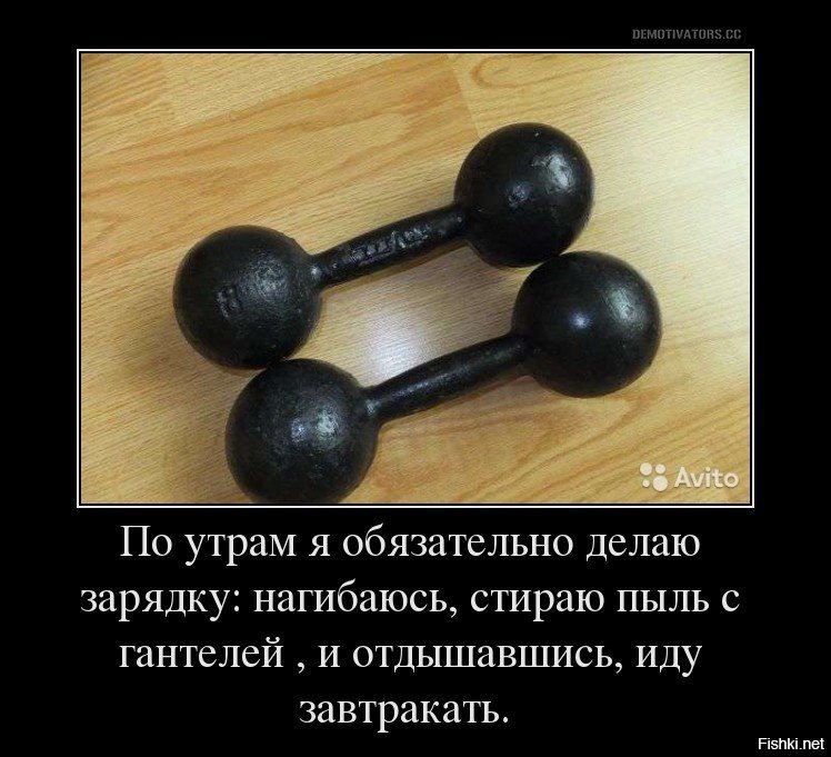 Упражнения на руки гиф. Приколы про худеющих женщин. Чтобы девушки худели нужен а не гантели. Цитаты про полных женщин. Чтобы девушки худели нужен а не гантели.