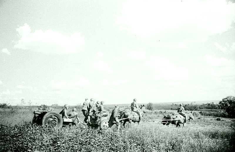 Советские артиллеристы и 76-мм полковая пушка образца 1927 года (на конной тяге) движутся по полевой дороге.