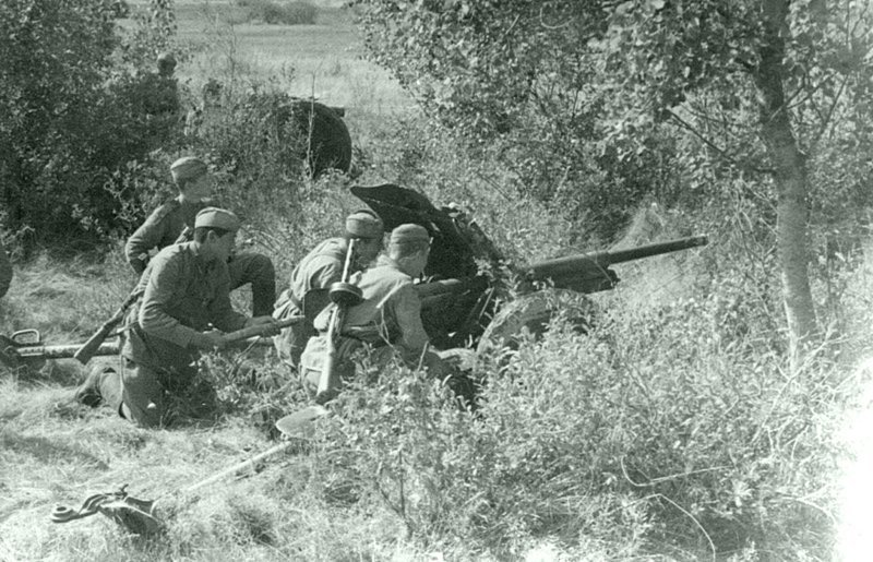 Советские артиллеристы из состава частей 2-го гвардейского кавалерийского корпуса  ведут огонь по противнику с замаскированной позиции. На переднем плане: 45-мм противотанковая пушка 53-К (образца 1937 г.), на заднем плане: 76-мм полковая пушка (обра
