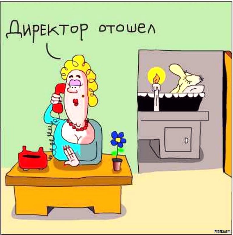 Прикольные картинки про директора школы мужчину, животных