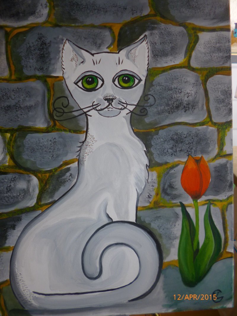 кошка и тюльпан