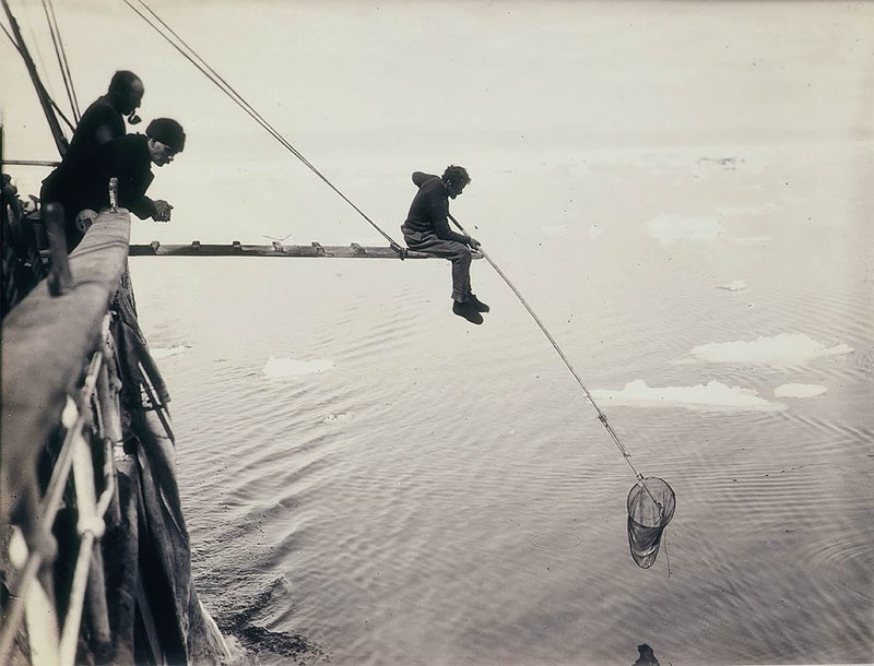 Ловля планктона с корабля "Аврора", 1912 год