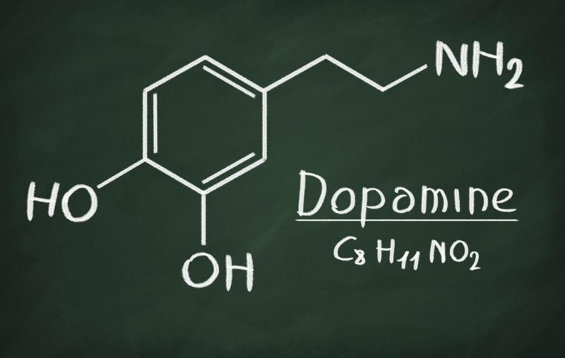 Дофамин и дофаминовый сбой
