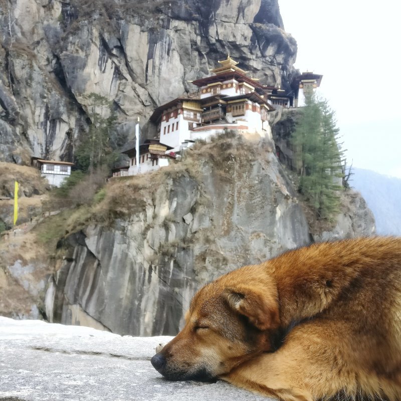 Монастырь Таксанг-Лаханг-Дзонг, Бутан