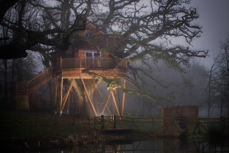 Как выглядит самый большой "дом на дереве" в Великобритании