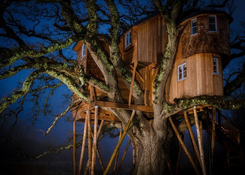 Считается, что гостевой дом Treetops Treehouse в округе Эггесфорд (графство...