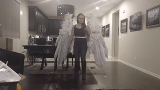 Механические крылья