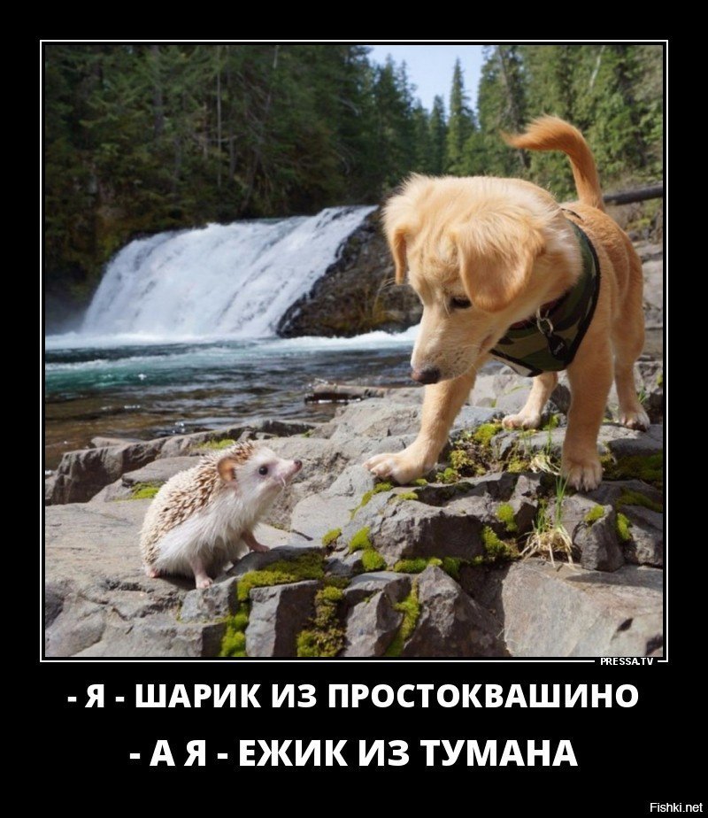 f4bf3f7012ee5bf6331210d466fe08fa.jpg