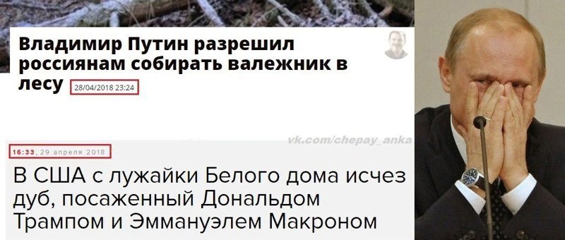 Политические коментарии соцсетей - 464