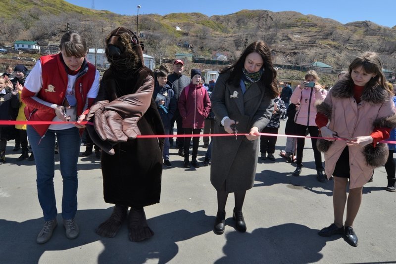 В сахалинском Невельске открыли первую в России смотровую площадку для наблюдения за сивучами