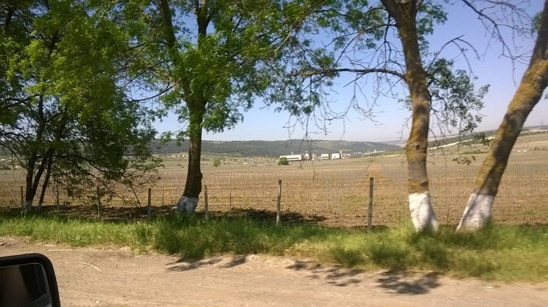 Это при подъезде к Ялтинскому кольцу видна новая Севастопольская ТЭС и новые саженцы винограда - раньше здесь было поле со старым-престарым виноградником, в прошлом году все вычистили, высадили новый
