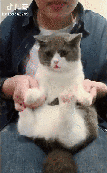 Играй, да не заигрывайся