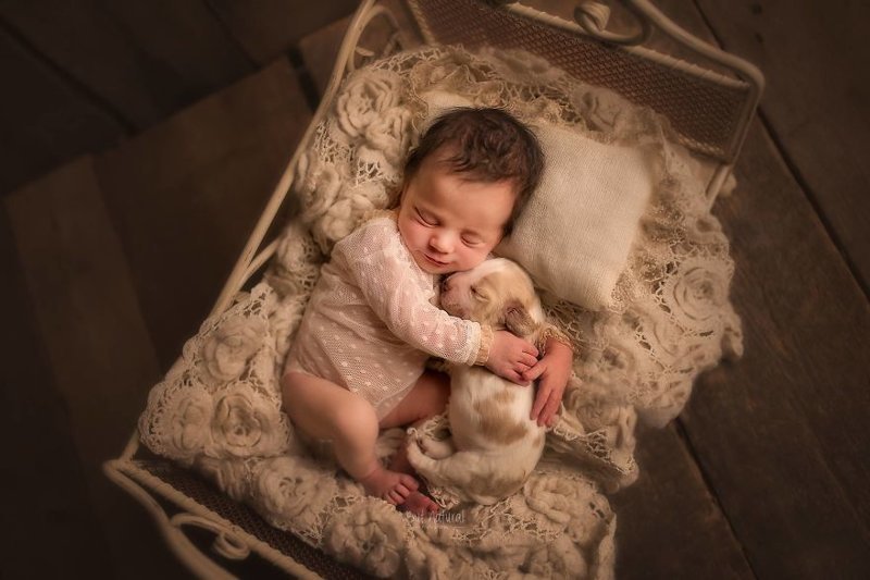 Сплошное умиление: индийский фотограф снимает малышей с животными