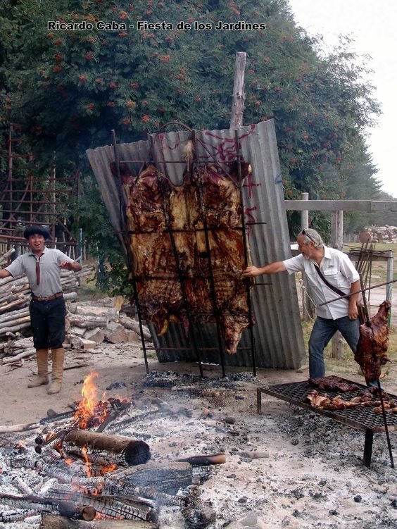 Мангальские страсти, или вариации на тему - на чем пожарить мяска