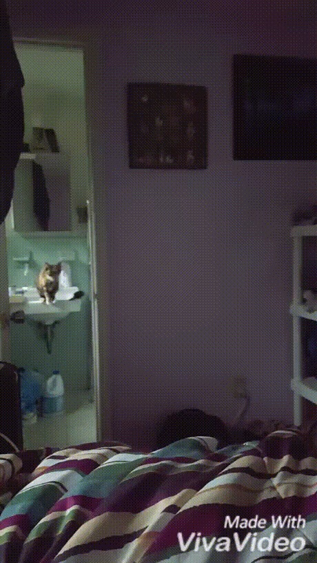 А мне летать охота