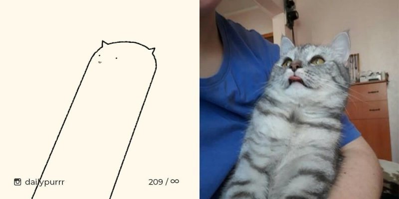 Когда все думают, что ты рисуешь какую-то хрень, а на самом деле реалистичных котов