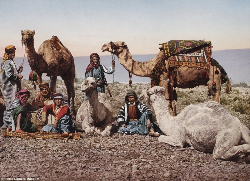 Погонщики верблюдов в сирийской пустыне, 1895.