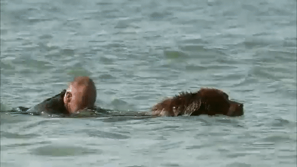 Спасение утопающего