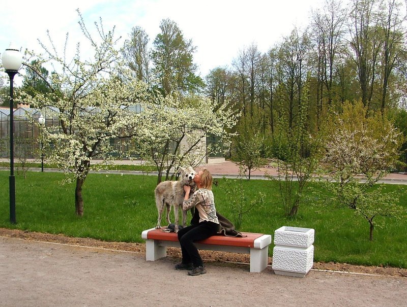Немного весны посредине зимы. Хан в ЭБЦ в мае 2007 года. Цветут вишни, сливы, яблони. На следующий день мы возвращаемся в Зубровник.