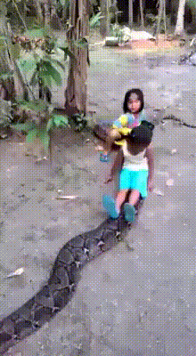 b53b488573d0f23615438db20c8b56a8.gif
