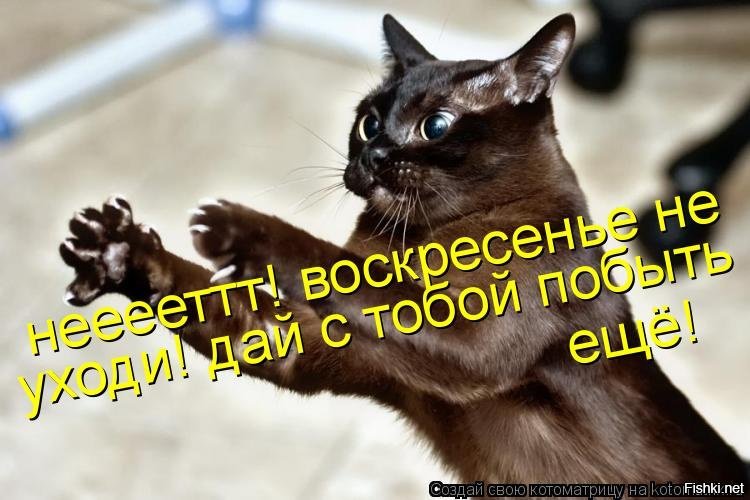 картинки завтра воскресенье завтра выходной или креповая