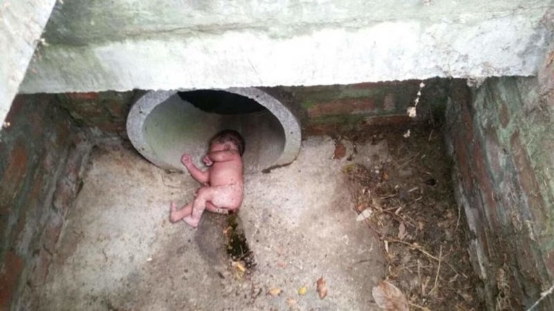 Обезумевший пёс тащил хозяйку к канализационному люку. То, что она там увидела — удивило всех!