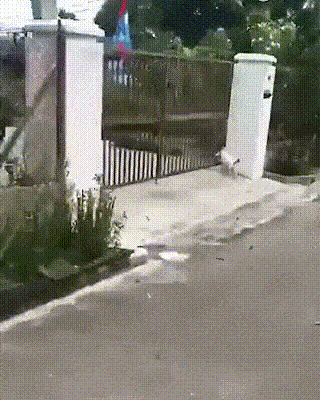 Задача не из легких