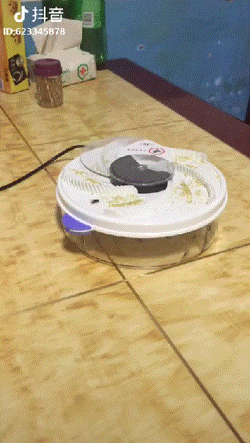 Самодельная мухоловка