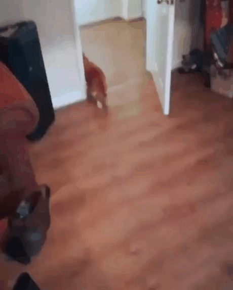 Закуска к вину