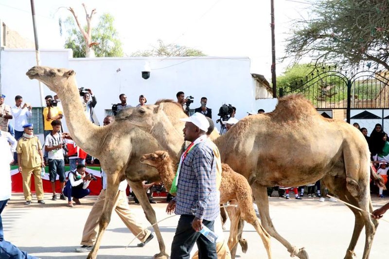 Парад в честь 27-летия независимости Сомалиленда