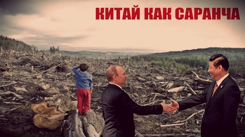 Китайцы отказываются отдавать бурятский лес россиянам
