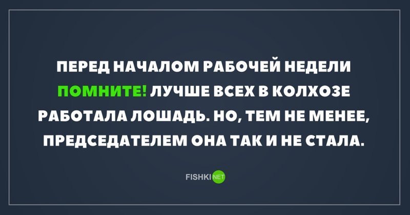 Больше всех в колхозе работала лошадь но председателем картинка