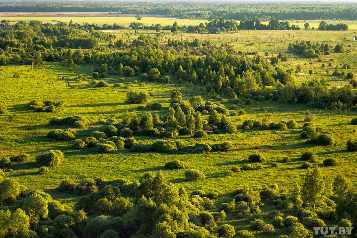 Зеленые места в Белоруссии