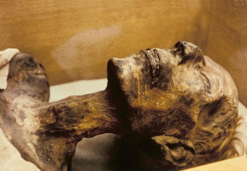 Мумия египетского фараона — Рамзеса Великого
