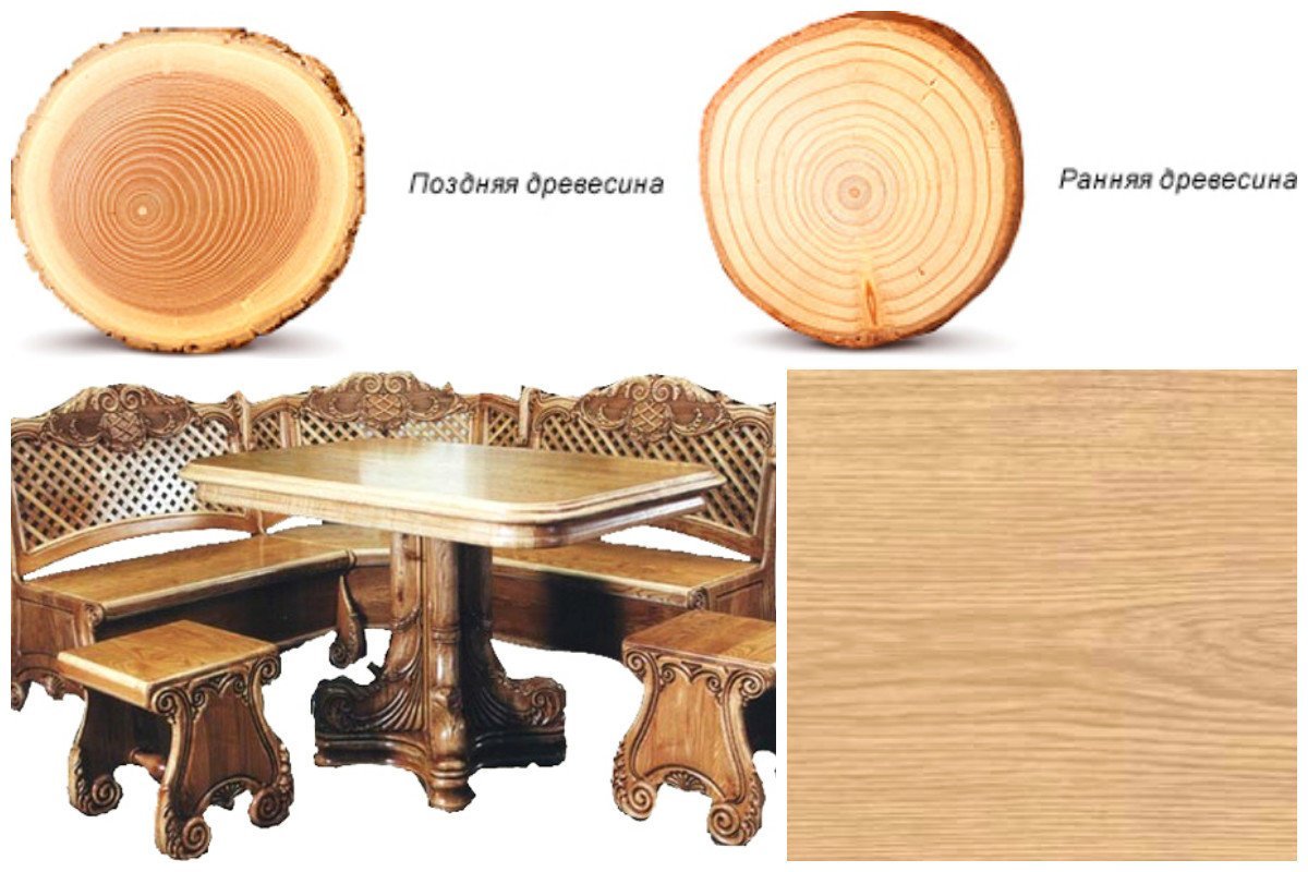 Дерева можно применять для. Мебель из древесины. Мебель из разных пород дерева. Древесина дуба мебель. Древесина из дуба.