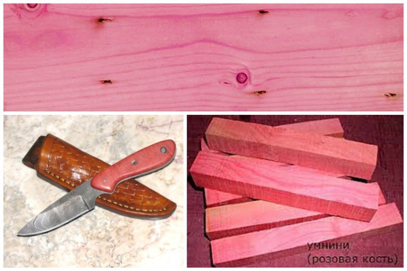 Пинк айвори (англ. pink ivory, розовая слоновая кость), умнини, умголоти — очень редкая экзотическая порода дерева из Южной Африки