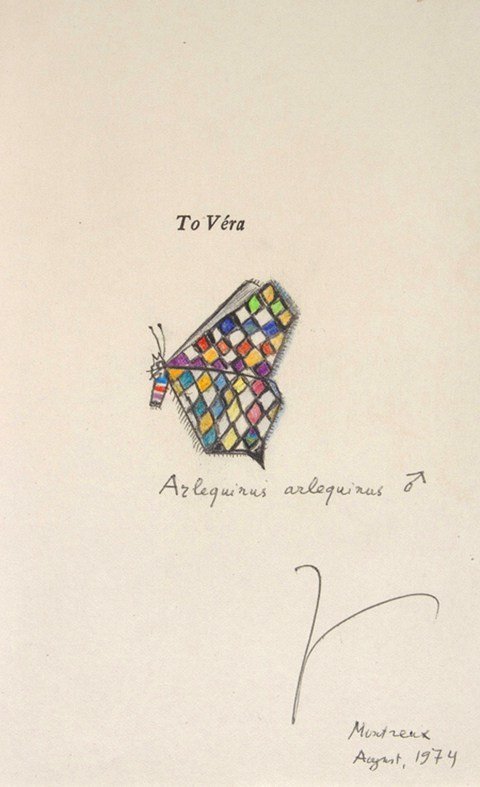 Тайные послания в книгах Набокова: что значили бабочки для жены великого писателя?