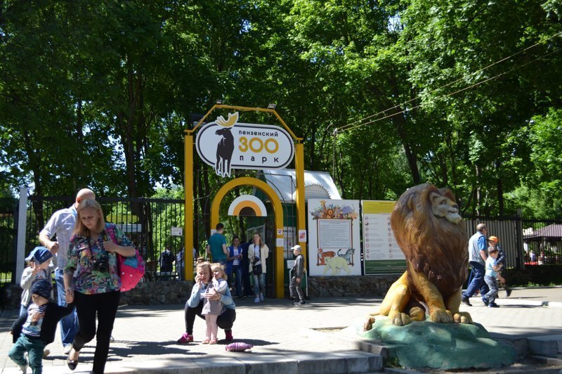 Лемуры на Фишках: приятный сюрприз из Пензенского зоопарка