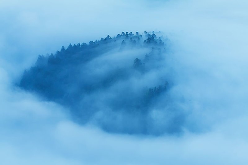 Горы в тумане - красивейшее зрелище на Земле