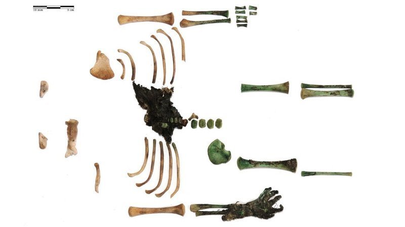 Археологи разгадали тайну частично мумифицированного младенца