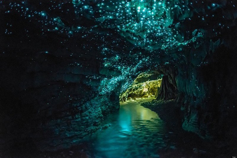 Вайтомо — пещеры светлячков в Новой Зеландии