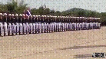 Змейка на тайском военном параде