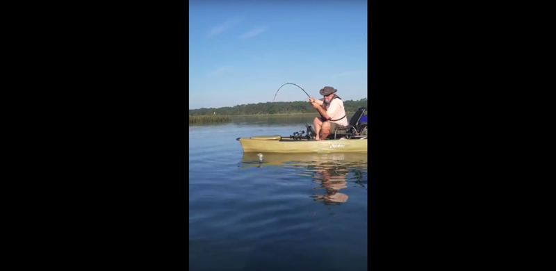 Акула утащила рыбака прямо с лодкой: видео