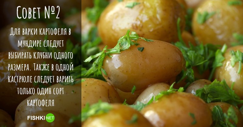 Как правильно варить картофель в мундире?