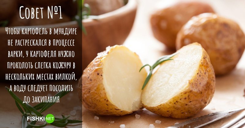 10 картофельных секретов, которыми пользуются все хорошие хозяйки