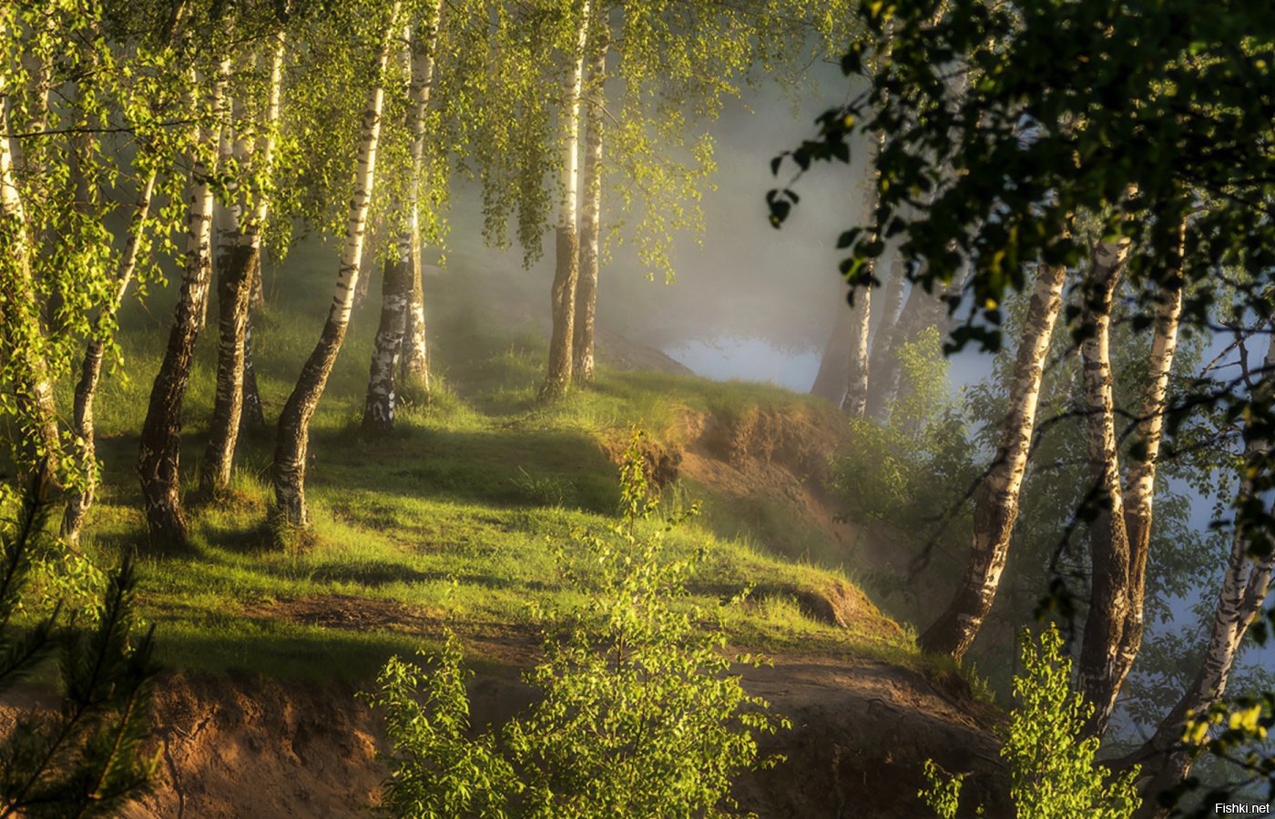 В природе есть удивительные праздники первая зелень. Березовая роща на Руси. Дубовая роща в Тарханах. Утро в лесу. Пейзажи России.