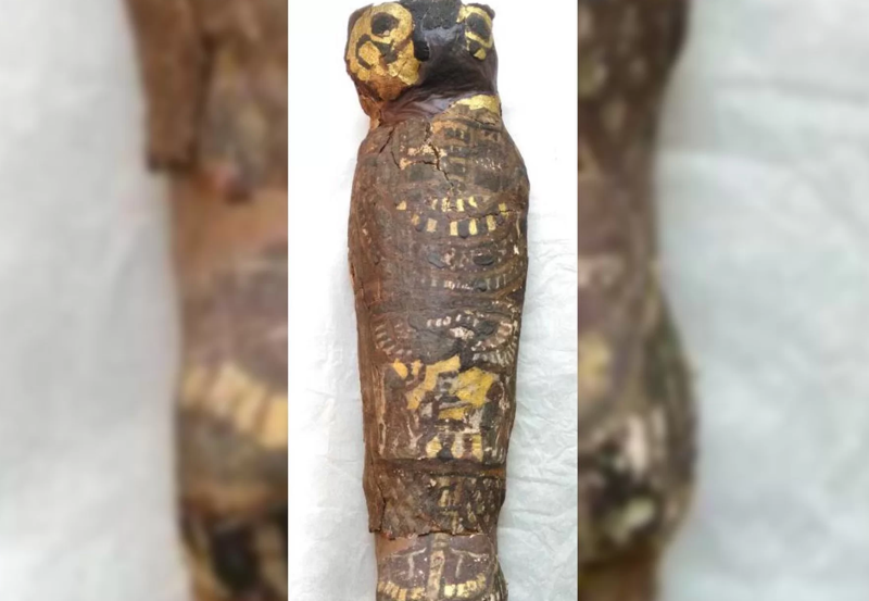 Древнеегипетская мумия «сокола» скрывала труп младенца